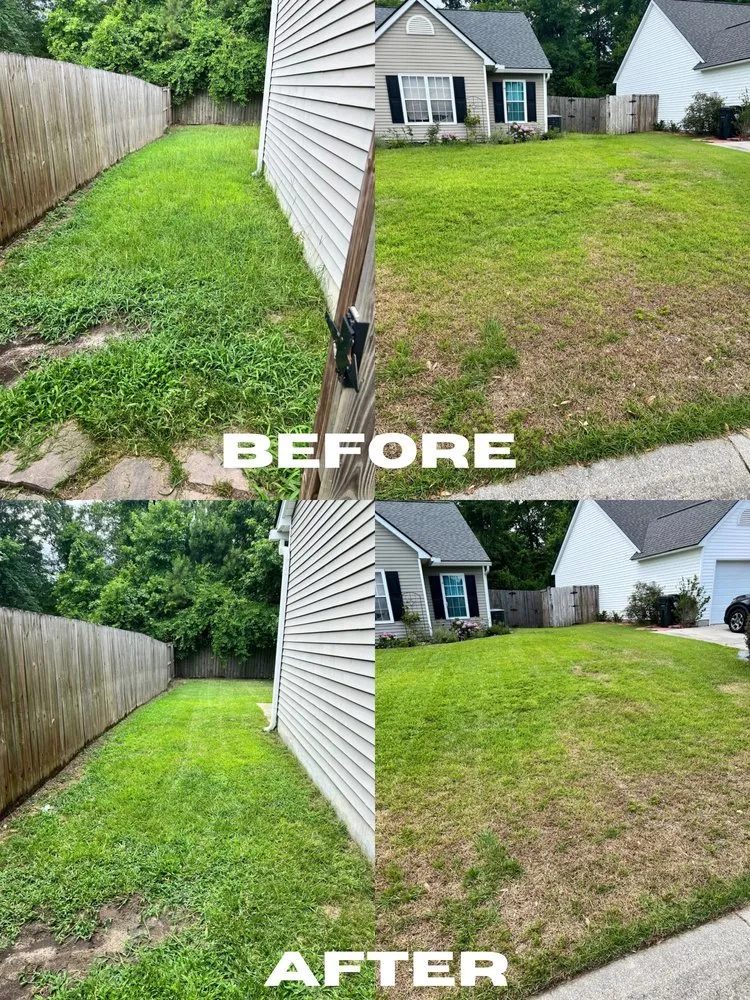 Expert yard cleanup service in Summerville, SC by Wash & Mow