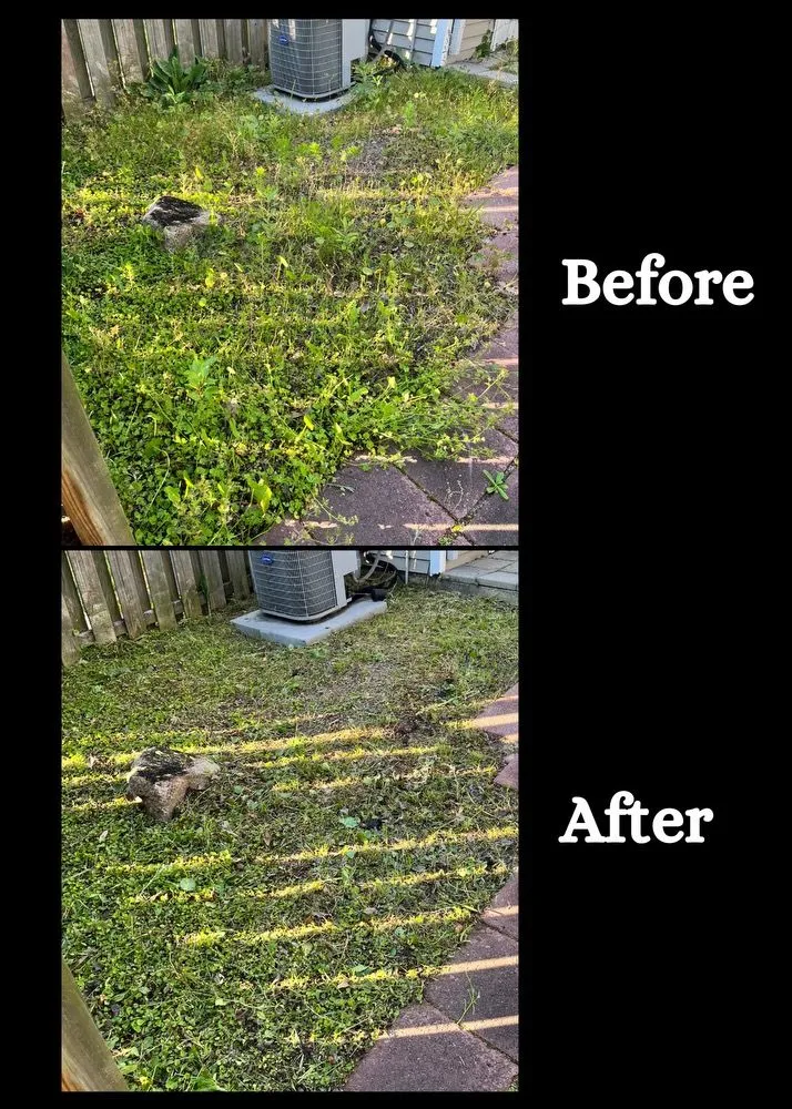 Local yard maintenance in Summerville, SC by Wash & Mow