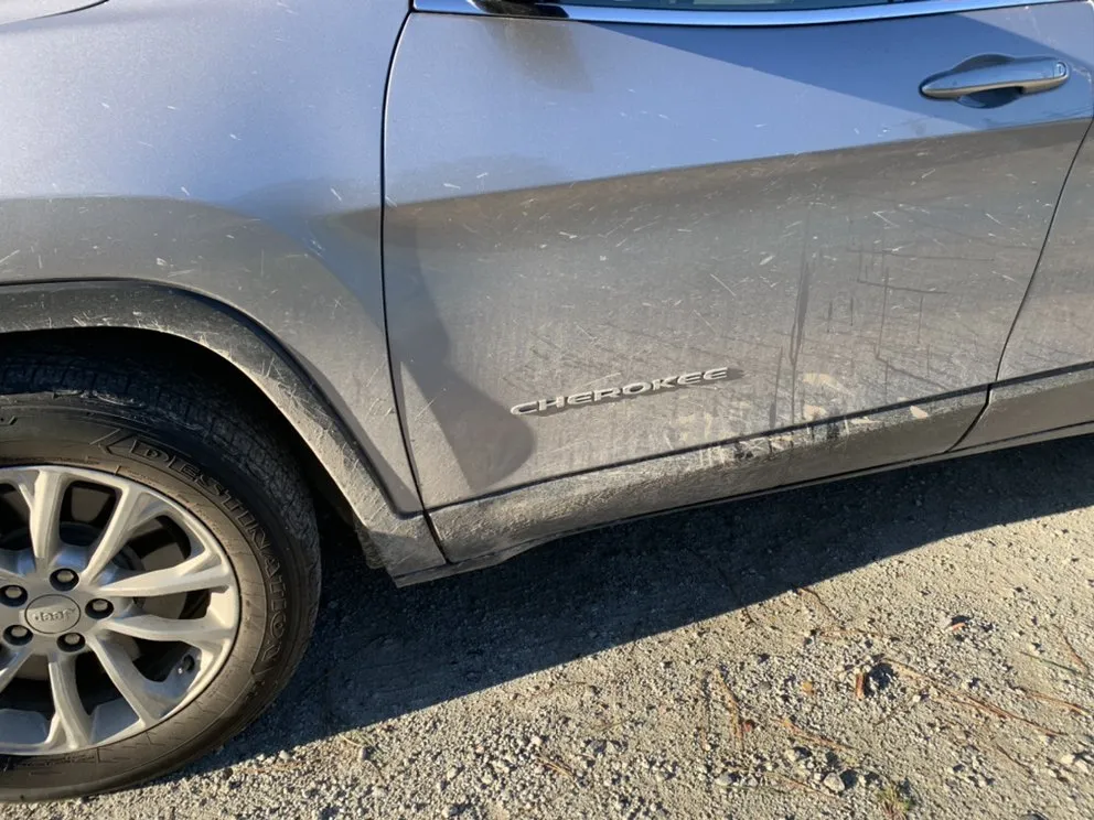 Expert yard cleanup service in Havelock, NC by Wash Em All