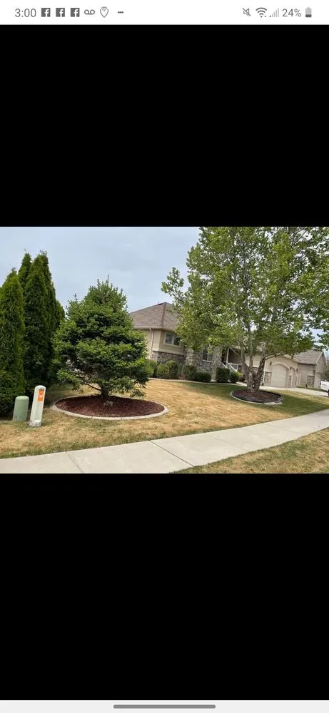 Reliable outdoor landscaping for year-round maintenance in Fountain Inn, SC by Wash Water Bros