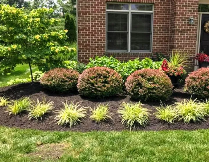 Professional landscaping services near you across Fountain Inn, SC - Wash Water Bros