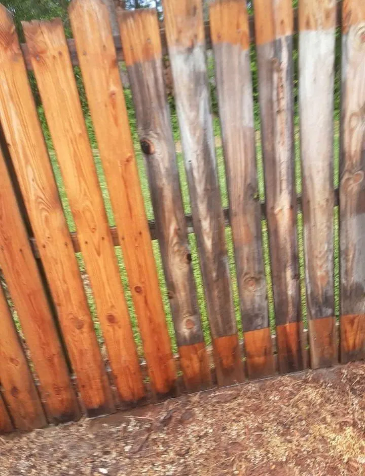 Local landscape installation for year-round maintenance in Fountain Inn, SC by Wash Water Bros