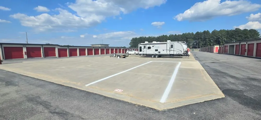 Expert yard cleanup service for year-round maintenance in Bonaire, GA by Wash Wizards