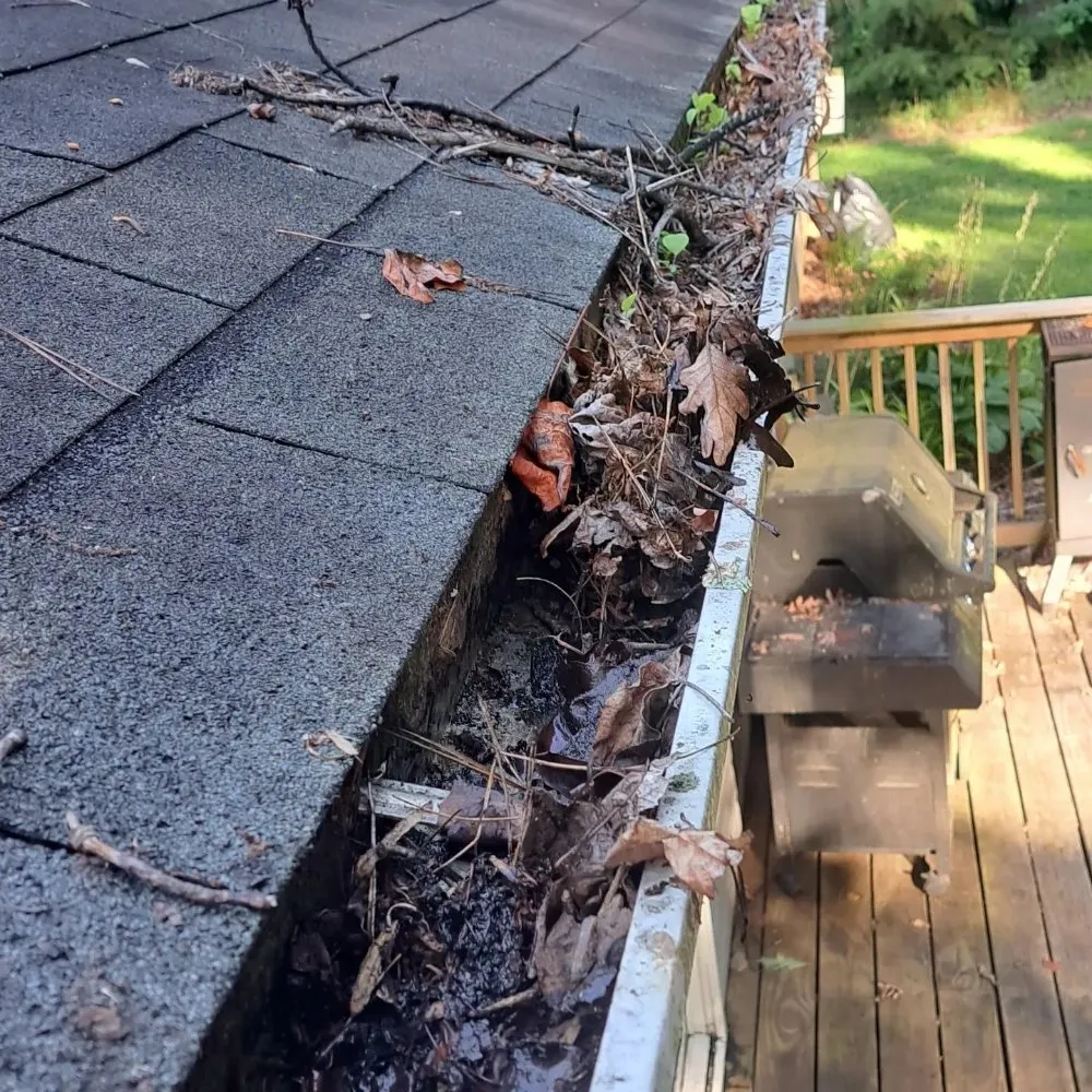 Professional landscaping services with custom design in Candler, NC by Washed By the Water