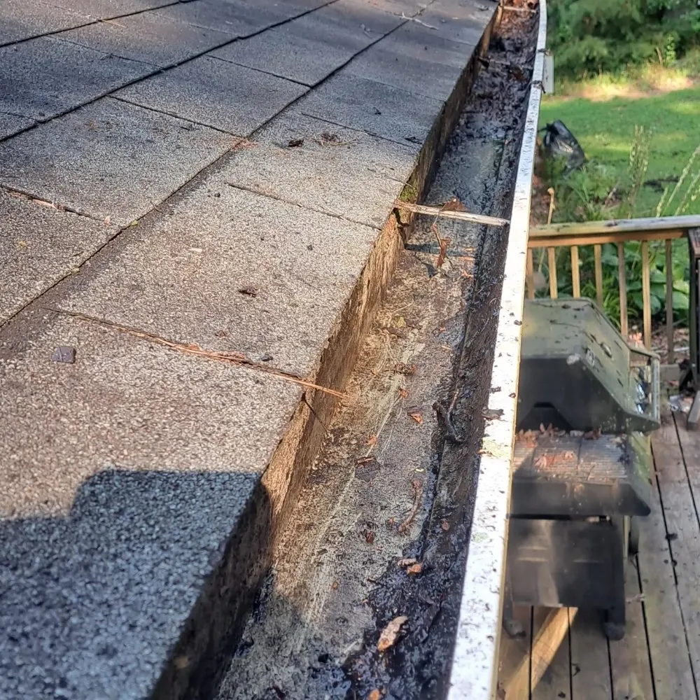 Professional yard cleanup service for year-round maintenance in Candler, NC by Washed By the Water