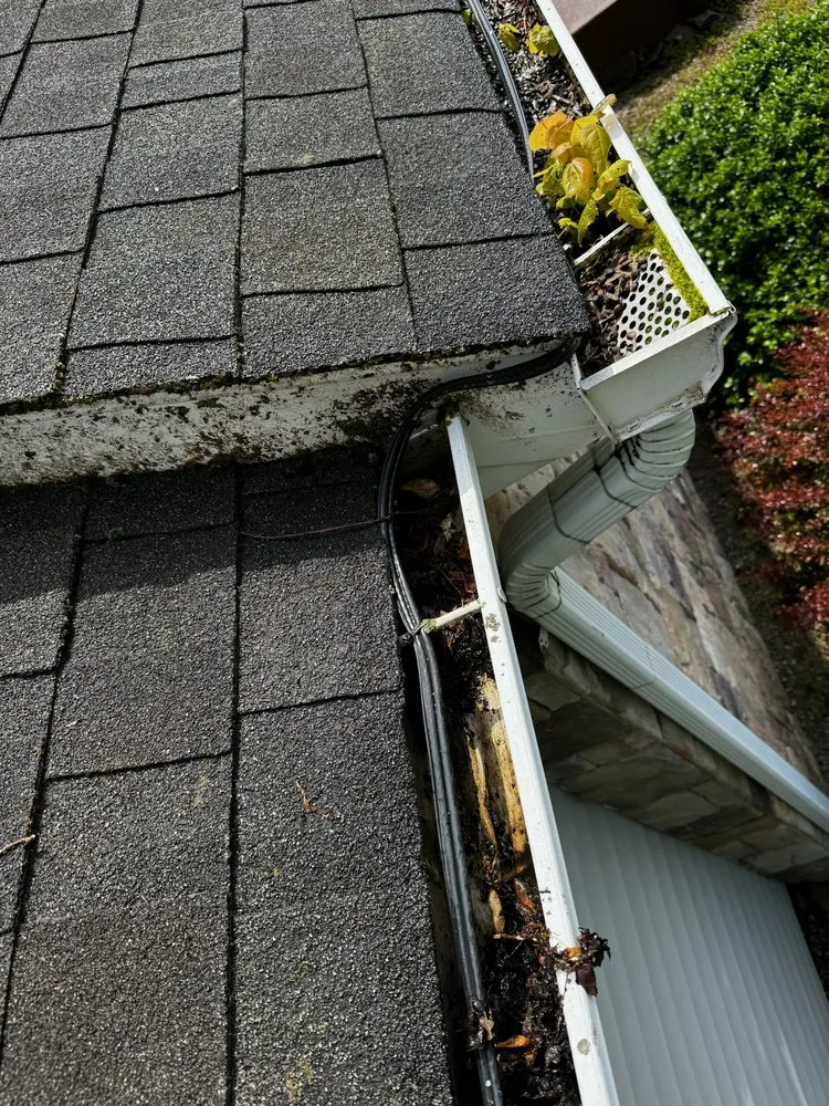 Reliable garden landscaping in Killingworth, CT - Washing Away