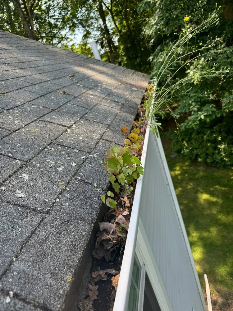 Affordable residential landscaping in Killingworth, CT - Washing Away