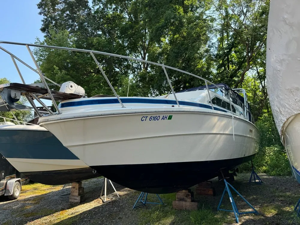 Custom yard cleanup service for beautiful yards in Killingworth, CT by Washing Away