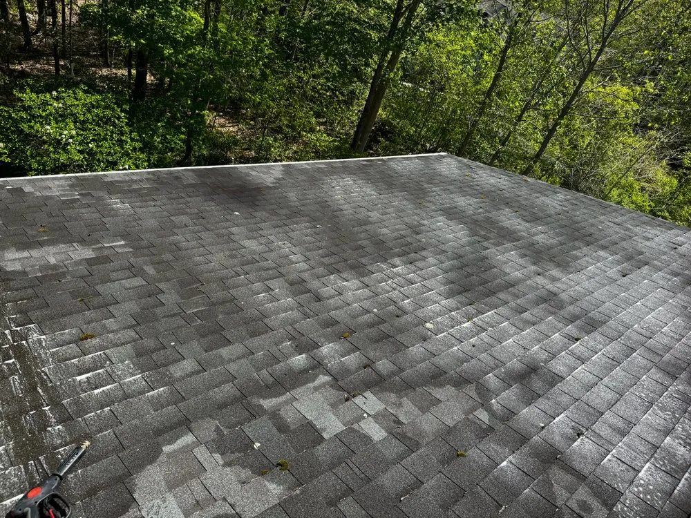 Affordable yard cleanup service experts serving Killingworth, CT - Washing Away