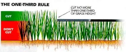 Expert landscape installation experts serving Pasco, WA - Washington Green Hydroseeding