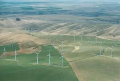 Reliable landscape design in Pasco, WA - Washington Green Hydroseeding