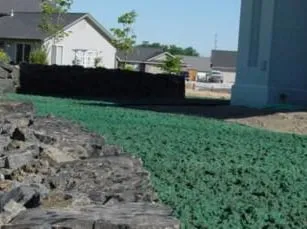 Trusted yard cleanup service in Pasco, WA by Washington Green Hydroseeding