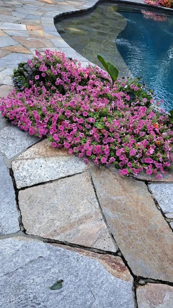 Expert lawn mowing service near you in Stamford, CT by Washington Help