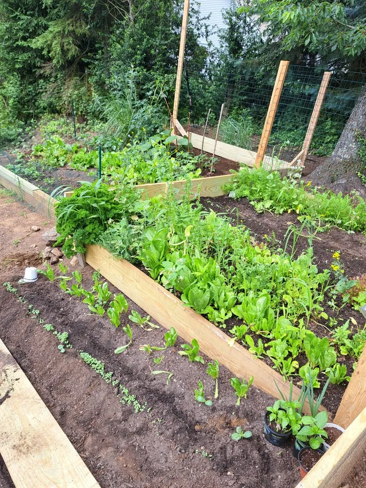 Expert yard maintenance experts serving Stamford, CT - Washington Help