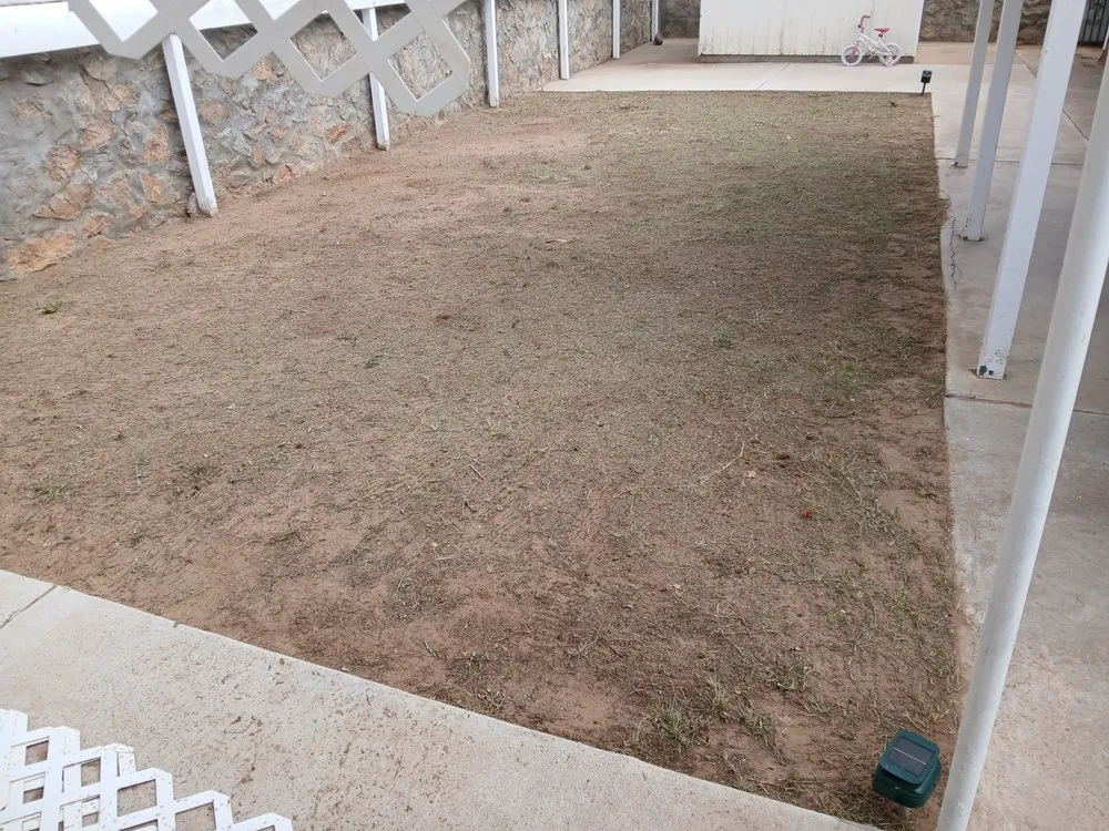 Custom landscaping services for outdoor upgrades in El Paso, TX by Washington Landscaping and Maintenance