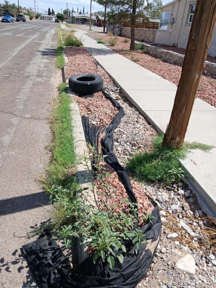 Reliable yard maintenance experts serving El Paso, TX - Washington Landscaping and Maintenance