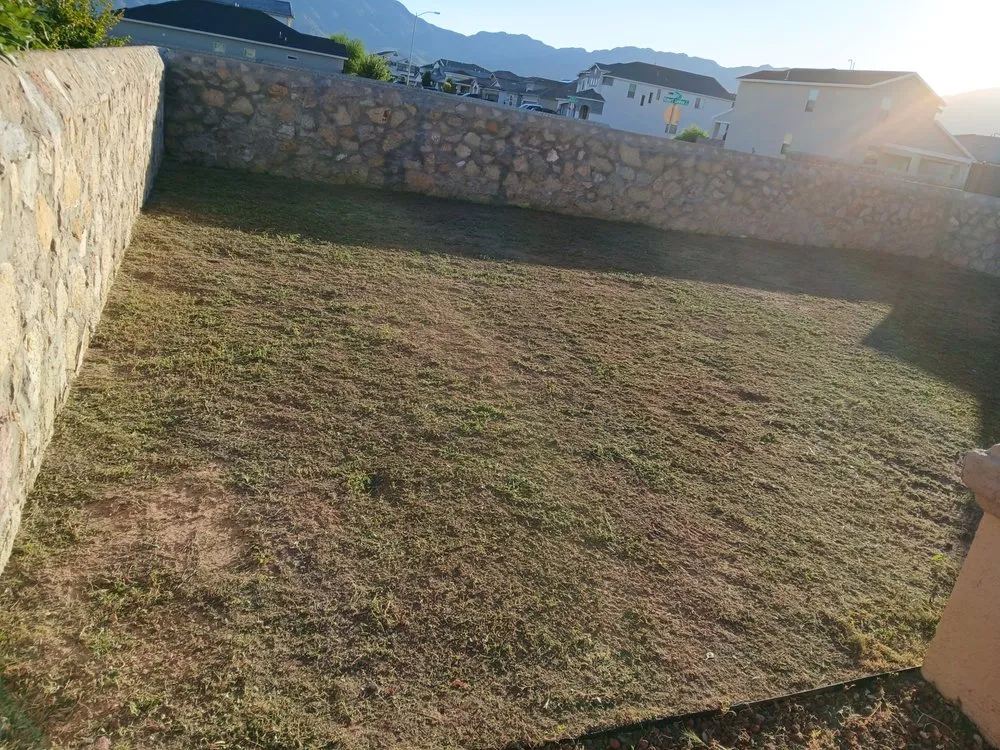 Expert lawn mowing service in El Paso, TX - Washington Landscaping and Maintenance