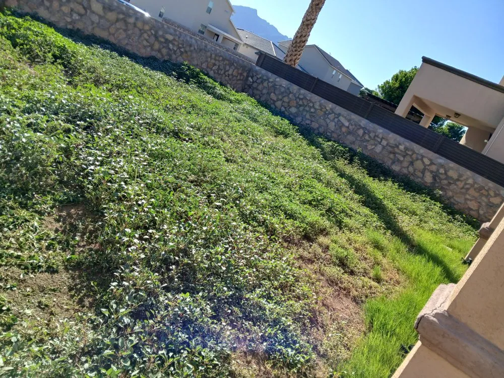 Expert landscape installation for outdoor upgrades across El Paso, TX - Washington Landscaping and Maintenance