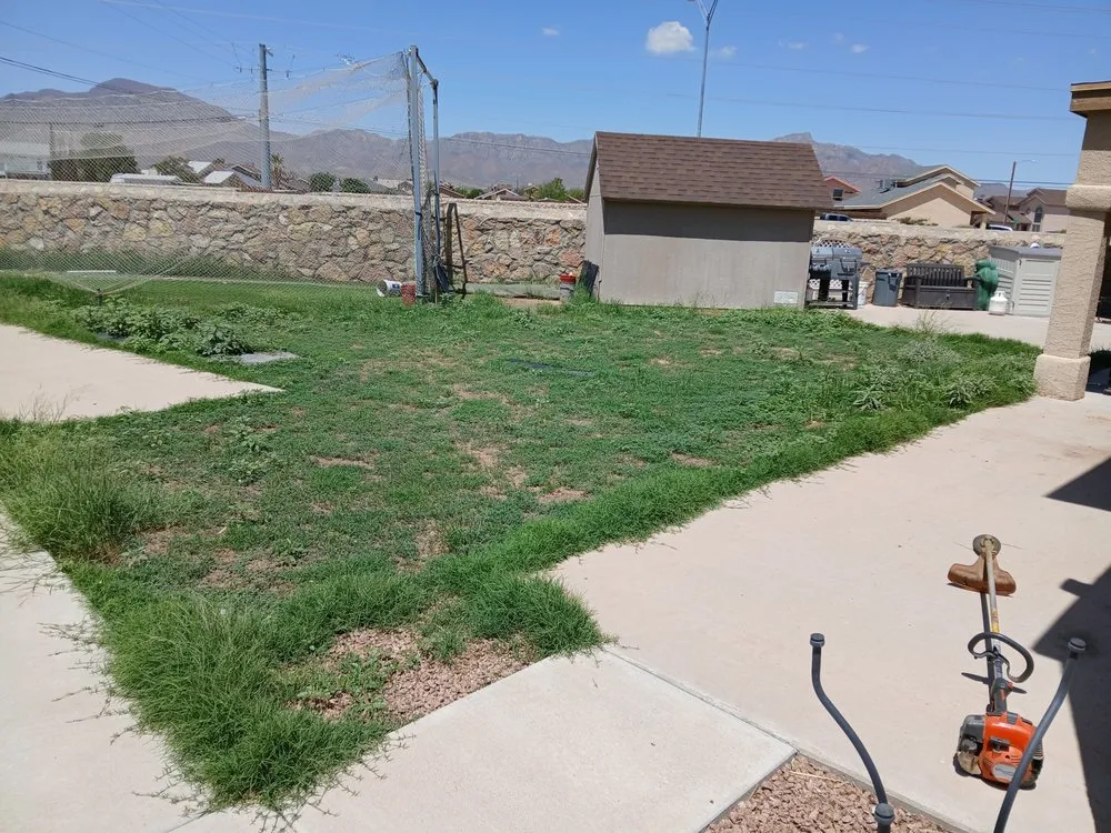 Affordable outdoor landscaping experts serving El Paso, TX - Washington Landscaping and Maintenance