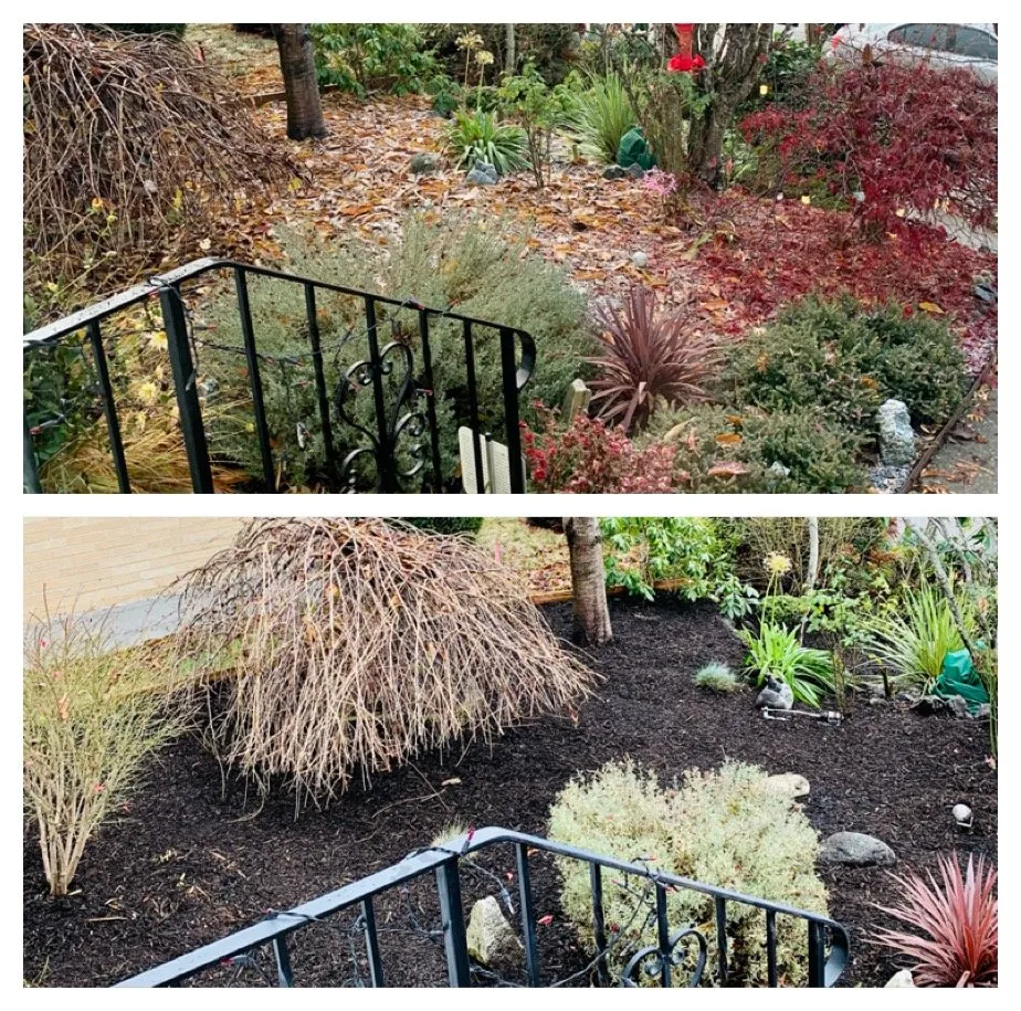 Reliable garden landscaping for beautiful yards across Covington, WA - Washington Landscaping