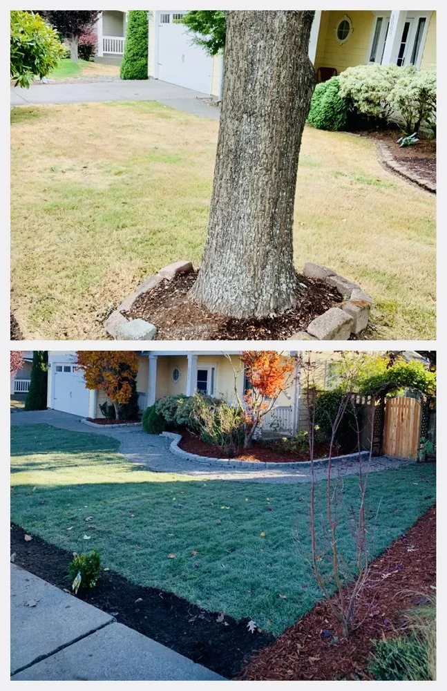 Custom yard maintenance in Covington, WA by Washington Landscaping