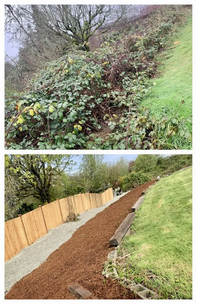 Professional landscaping services for outdoor upgrades in Covington, WA by Washington Landscaping