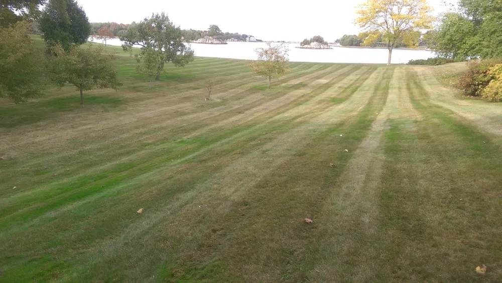 Top-rated landscape design for outdoor upgrades across East Bridgewater, MA - Washington Landscaping