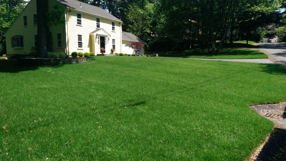 Reliable yard maintenance in East Bridgewater, MA - Washington Landscaping