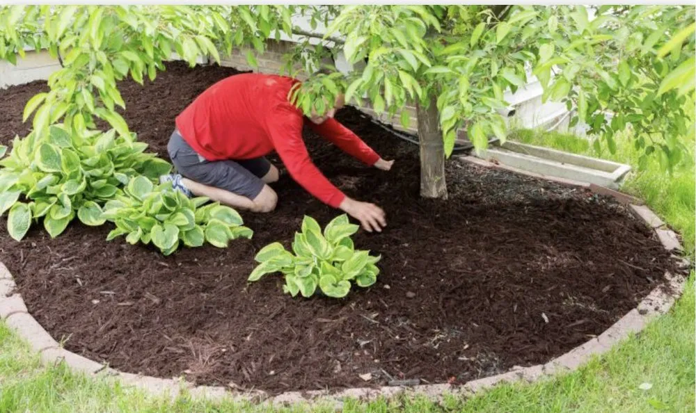 Custom landscape design in Camden, NJ - Washingtons Property Miracles