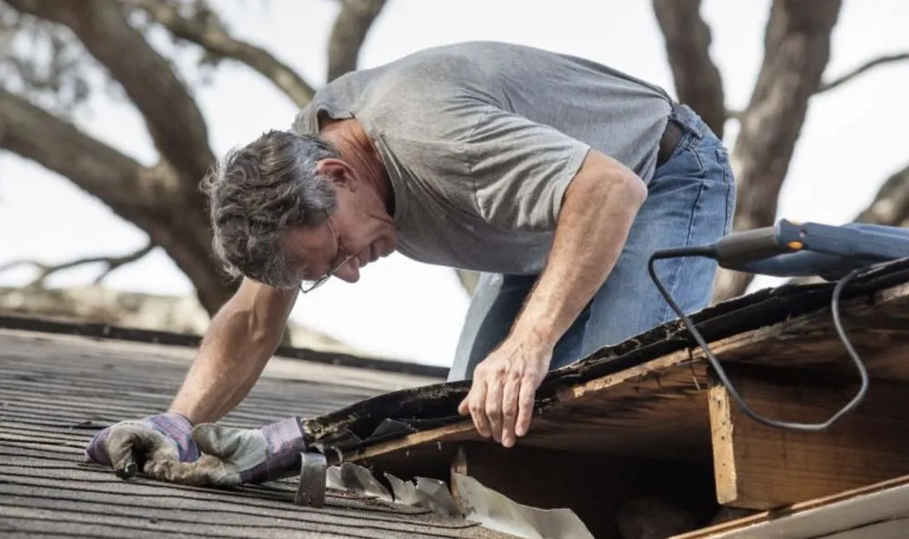 Local landscape installation for outdoor upgrades in Camden, NJ by Washingtons Property Miracles