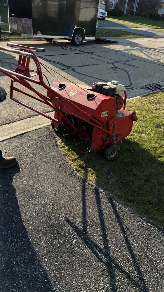 Expert yard cleanup service for year-round maintenance across Naperville, IL - Wasi Lawn Mowing and Snow Plowing Service