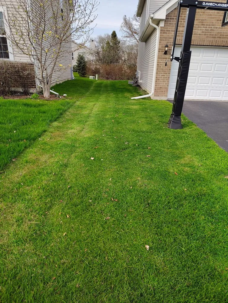 Affordable landscape installation experts serving Naperville, IL - Wasi Lawn Mowing and Snow Plowing Service