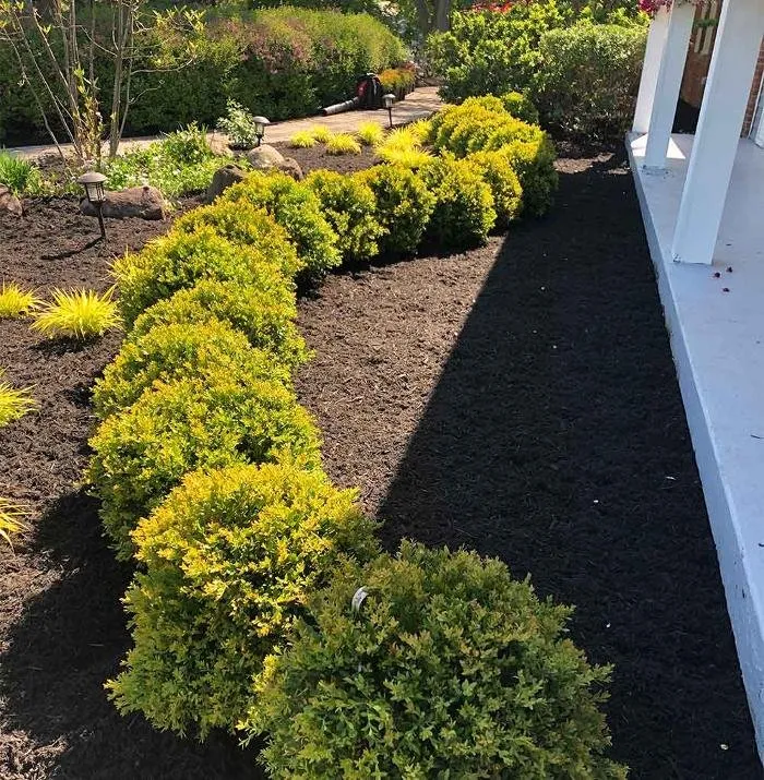 Top-rated garden landscaping for year-round maintenance in Farmington Hills, MI by Wasmer Brothers Landscaping
