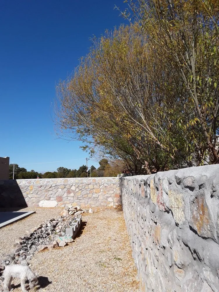 Reliable lawn mowing service in Las Cruces, NM - Wasser & Wasser Inc. Landscape Management