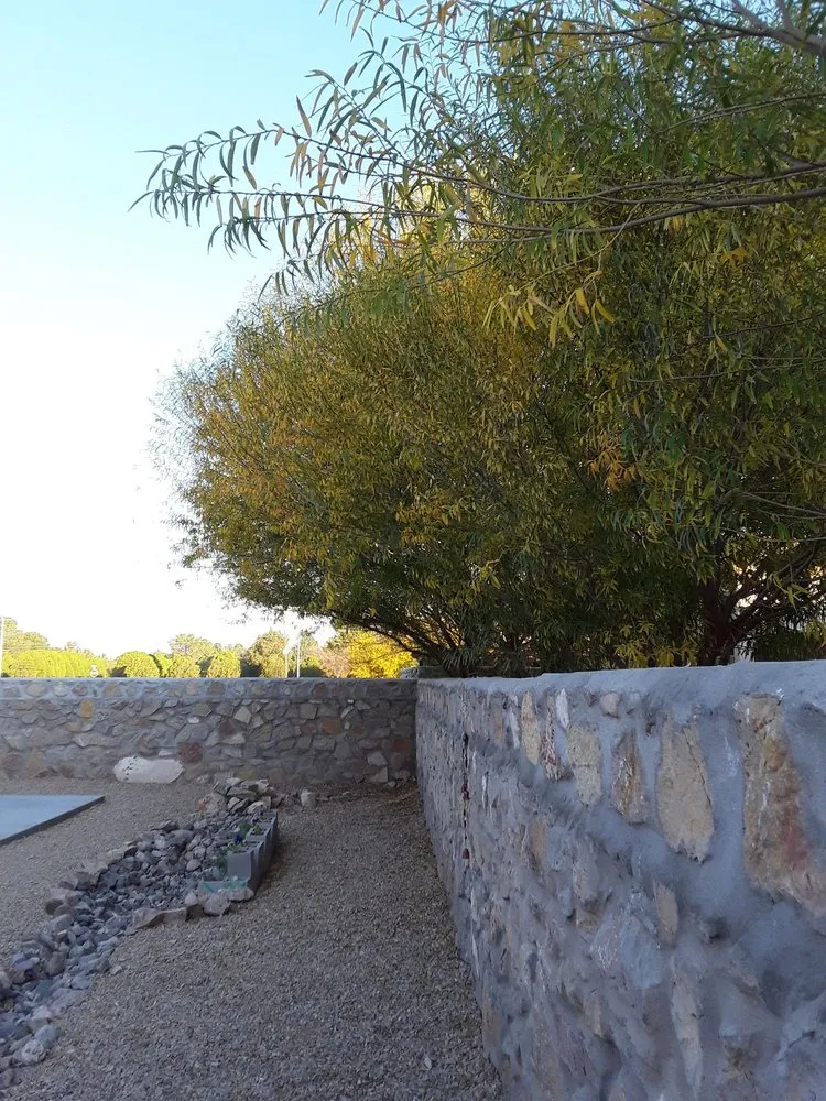 Local lawn care service in Las Cruces, NM - Wasser & Wasser Inc. Landscape Management