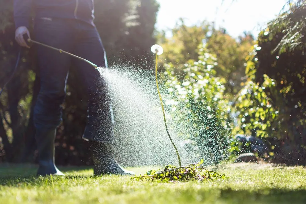 Local lawn care service in Las Cruces, NM - Wasser & Wasser Inc. Landscape Management