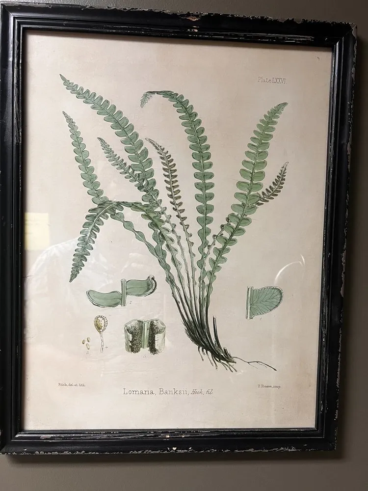 Professional lawn mowing service in Fishers, IN by Wasson