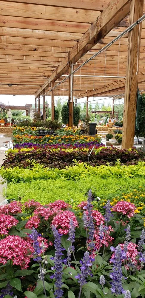 Top-rated lawn mowing service experts serving Fishers, IN - Wasson