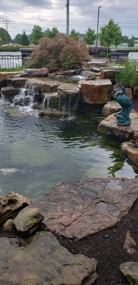 Trusted yard cleanup service in Fishers, IN - Wasson