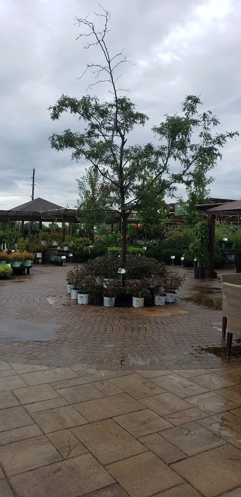 Expert lawn mowing service for residential properties across Fishers, IN - Wasson