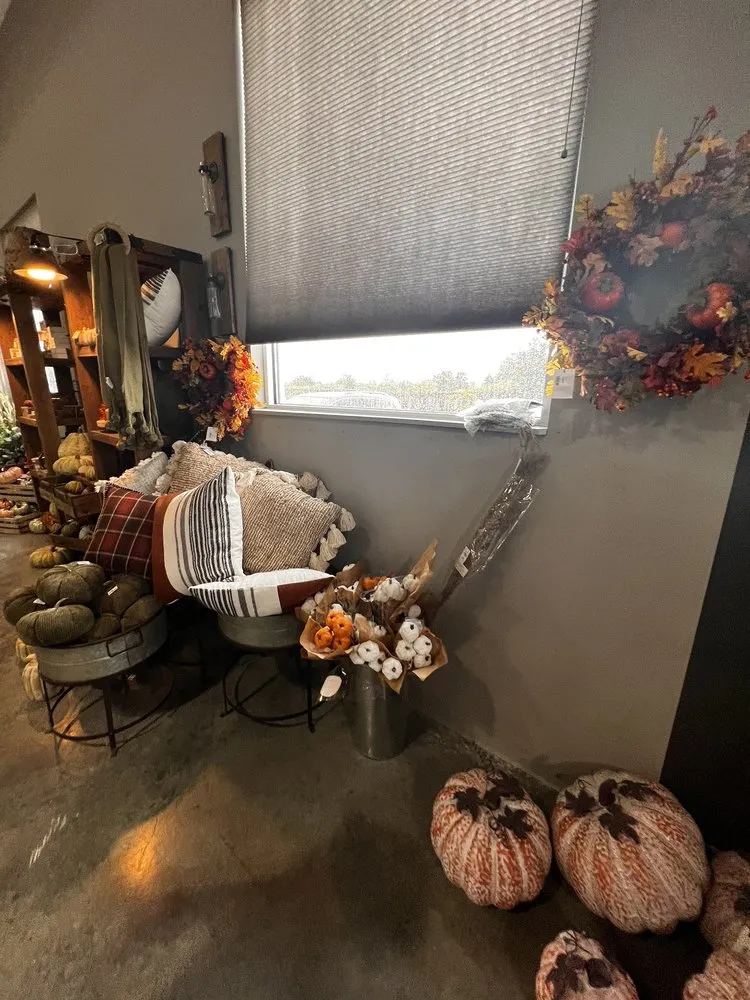 Reliable yard cleanup service in Fishers, IN by Wasson