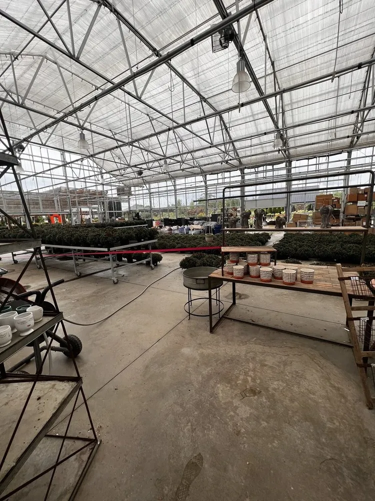 Expert lawn care service experts serving Fishers, IN - Wasson