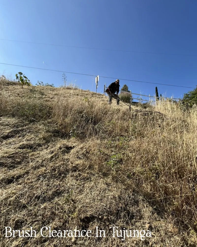 Top-rated landscaping services with custom design in Sylmar, CA by Waste Unlimited Brush Clearance & Tree Service