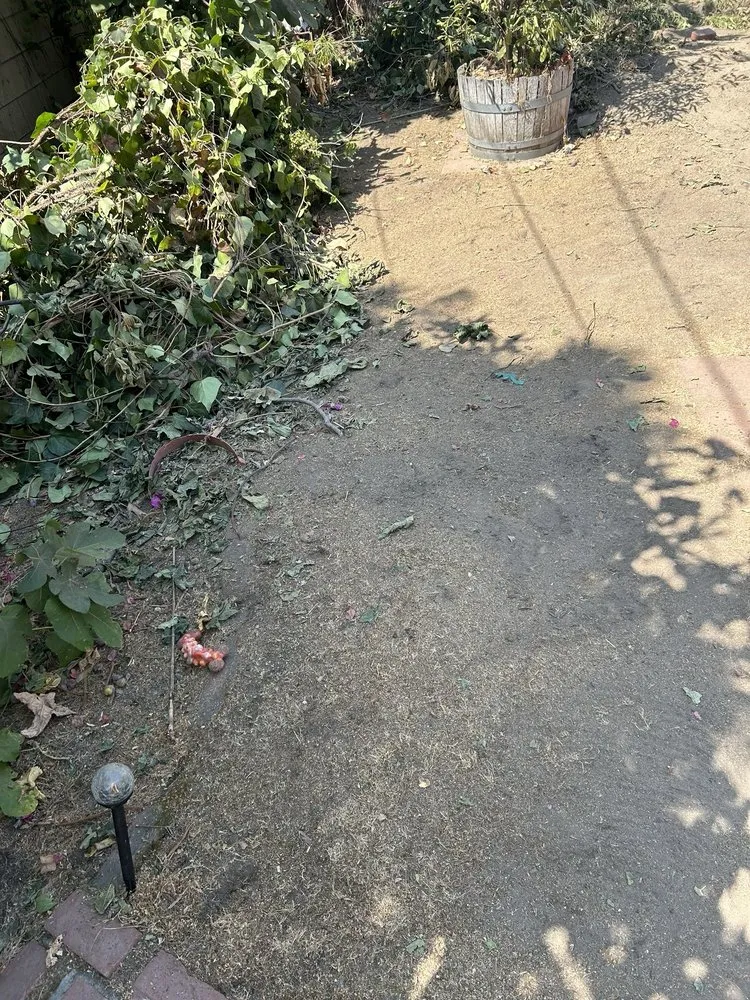 Reliable landscape design experts serving Sylmar, CA - Waste Unlimited Brush Clearance & Tree Service
