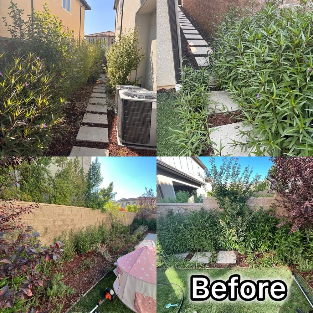 Trusted yard cleanup service experts serving Sylmar, CA - Waste Unlimited Brush Clearance & Tree Service