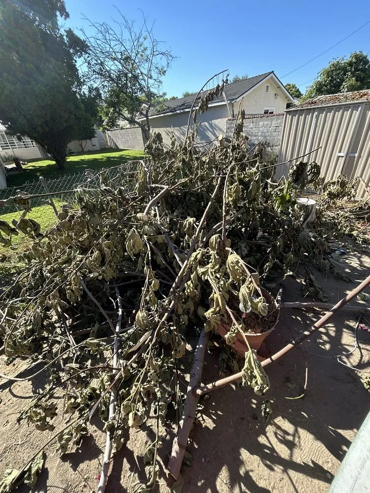 Trusted outdoor landscaping for beautiful yards across Sylmar, CA - Waste Unlimited Brush Clearance & Tree Service