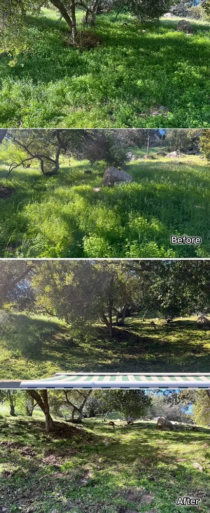 Custom landscape design experts serving Sylmar, CA - Waste Unlimited Brush Clearance & Tree Service