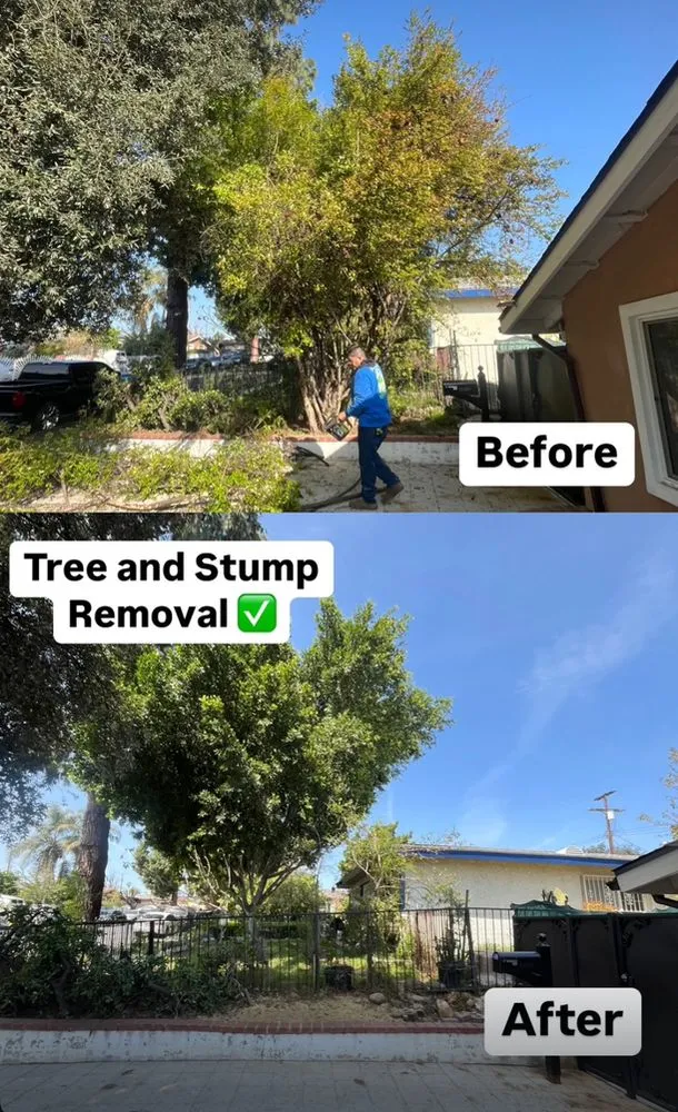 Professional outdoor landscaping experts serving Sylmar, CA - Waste Unlimited Brush Clearance & Tree Service