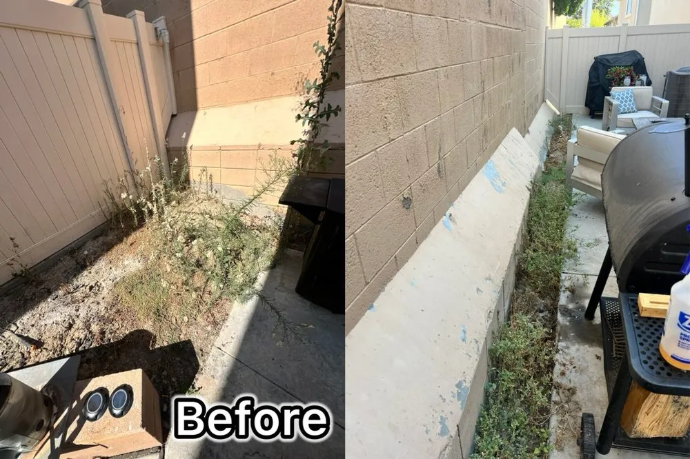 Custom lawn mowing service for homes in Sylmar, CA by Waste Unlimited Brush Clearance & Tree Service
