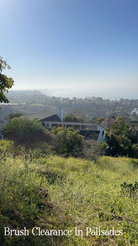 Professional yard cleanup service for homes in Sylmar, CA by Waste Unlimited Brush Clearance & Tree Service